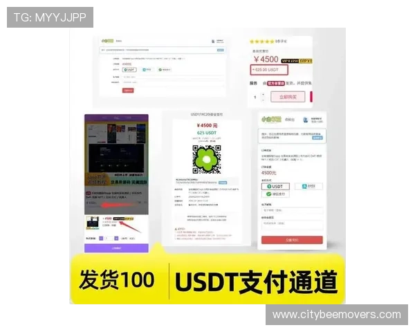 918自动发卡平台支持多种支付方式满足不同用户需求