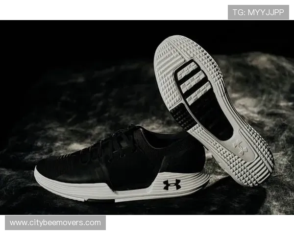 乐动体育app支持的运动项目详细介绍，满足不同运动爱好者的需求