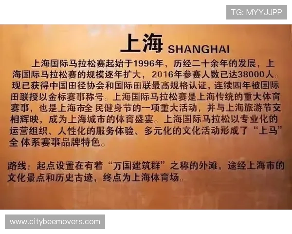 12b体育官网开启全新用户体验,打造多元化体育娱乐平台新格局 12b体育官网开启全新用户体验,打造多元化体育娱乐平台新格局